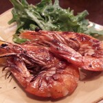 LANBRoA - ⚫天使のエビのプランジャ