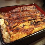 Unagi Nakaya - 