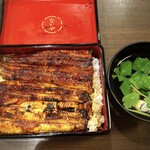 Unagi Nakaya - 