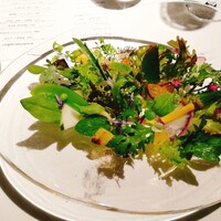 レフェルヴェソンス - 