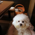 旬采 - ミーちゃんと一緒