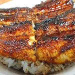 田代 - 鰻のアップ