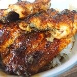 田代 - 鰻の断面