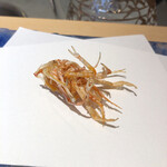 にい留 - 海老足
      軽妙さと繊細さを感じる…