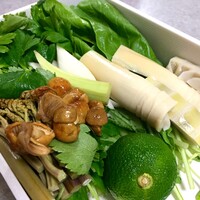 比良山荘 - じゅん菜・白ずいき・わらび・破竹・三つ葉・壬生菜・なめこ・柚子