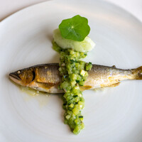 レストラン オオツ - 2020.6 長良川天然鮎コンフィ 瓜のシャーベット 胡瓜ソース