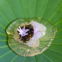 レストラン オオツ - 2020.6 軽く燻製にしたボタン海老 キャヴィア 野菜ガスパチョのゼリー