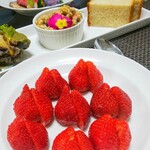 スクニッツォ！ - 