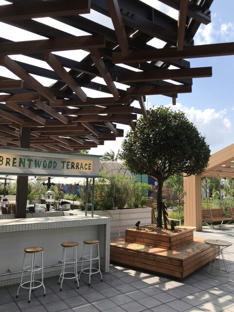 Green House By Mercer Brunch 二子玉川 旧店名 Brentwood Terrace 二子玉川 イタリアン ネット予約可 食べログ Green House By Mercer Brunch 二子玉川 旧店名 Brentwood Terrace 二子玉川 イタリアン ネット予約可 食べログ