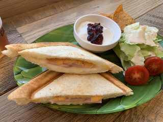 CR.CACTUS CAFE&ACCESSORY