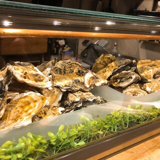 パッパトリア_2