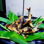 美加登家 - 鮎の炭火塩焼き