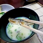 美加登家 - 稚鮎の白味噌仕立て