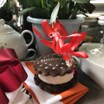 旬采 - 毎朝癒されるカクタスの花