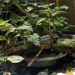 京都四条くをん - 