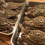 スパイステーブル - 新鮮な活渡り蟹は佐賀県産の400〜500gのものを使用しています