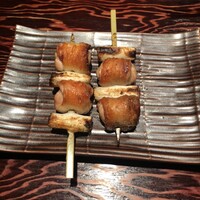 鳥ばか一代 -  鳥ばか一代 -