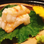 瞬 - 鬼海老（イバラモエビ）