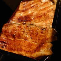 うなぎ 目白ぞろ芽 - 