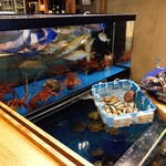 Sakana To Sakana Ito Okashi - いとおかしの名物。階段式生簀では、旬の様々な魚介類を取り揃えており、目で見て頂きながらお楽しみ頂けます。