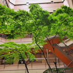 食堂とだか - 外観④ビルの中央は中庭のような構造で紅葉が飾られてます