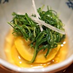 松濤 爛缶 - ズッキーニとオカヒジキのおひたし