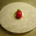 長谷川 稔 - トマト