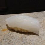鮨 さいとう - アオリイカ