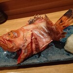 Sakanaba Ippo - カサゴの塩焼き