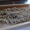 蕎麦処 くに作 - 料理写真:冷ざる蕎麦