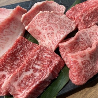 Assortment of 5 rare parts of [Specially Selected Wagyu Beef]