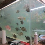 入口に水槽あり。