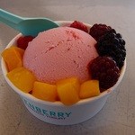 グーギーズファーム軽井沢工房 - ヨーグルトジェラート（ラズベリー）