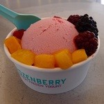 グーギーズファーム軽井沢工房 - ヨーグルトジェラート（ラズベリー）