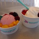 グーギーズファーム軽井沢工房 - ヨーグルトジェラート＆フローズンヨーグルト