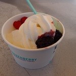 グーギーズファーム軽井沢工房 - フローズンヨーグルト（リッチミルク）