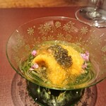 イル アオヤマ - 