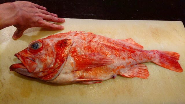 The Photo Of Food Sakanaba Ippo Tabelog