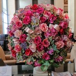 ティーラウンジ　ファウンテン - 