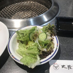 大陸食道 - 