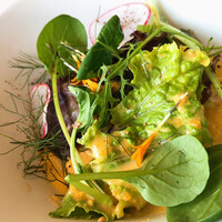 TOOTH TOOTH GARDEN RESTAURANT -  TOOTH TOOTH GARDEN RESTAURANT -