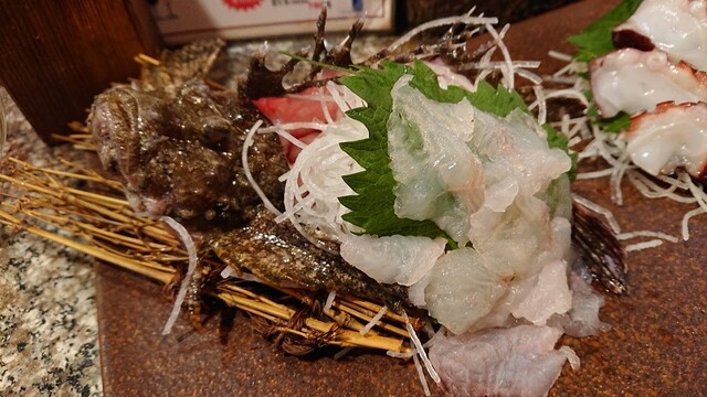 さかなやさん さかなやさん 宇都宮/居酒屋 | ヒトサラ