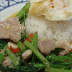 タイ王国料理 クンメー1 - 空芯菜のオイスターソース炒め  by M