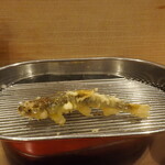 てんぷら 深町 - 