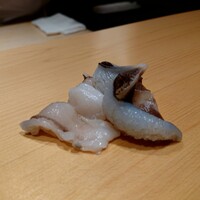 鮨 はしもと - トリガイ