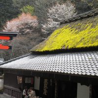 平野屋 - 鳥居本　平野屋