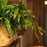 イレールビス自由が丘 - 