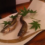 四季魚菜 うらべ - 