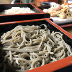 並木藤 - 