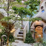 キャットカフェ てまりのおしろ - その他写真:山法師が咲いていました